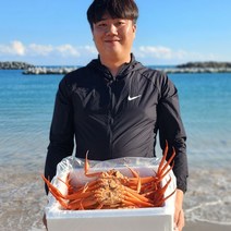 [선주직판] 제철 홍게 대게 자숙 3kg 수율보장 사나이수산, 04_일반 대게(9~9.5cm)1마리_생물