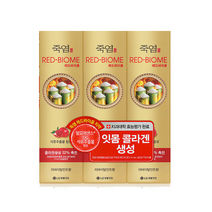 죽염치약 죽염 레드바이옴 리바이탈민트 100g3 2개