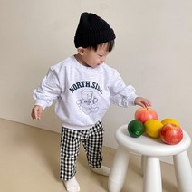 우디 스티브상하-모델