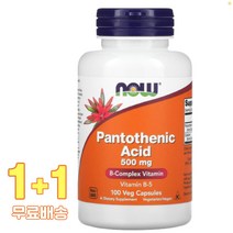 나우푸드 Pantothenic Acid 500mg 베지 250정 2통, 1개, 기본