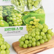 국내산 22년 11월제철 샤인머스켓 추석 명절선물세트 선물용 고당도 껍질째 먹는 씨없는 청포도 황제 귀족 사인머스켓 사인머스캣 햇샤인머스캣, 800gx3수 선물세트