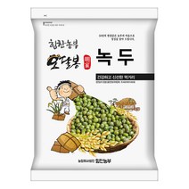 힘찬농부오달봉 2022년산 햇 수입녹두 통녹두 숙주나물키우기, 1개, 1kg