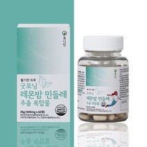 레몬밤 민들레추출물 단델리온 복합물 60정, 6개