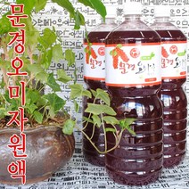 초록사랑 문경오미자원액 오미자엑기스, 1개, 1.8L