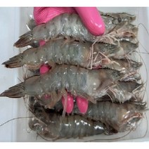 국내산 급냉새우 특대1kg(22~27미) 쓰리고수산 산지직송 신안 새우 왕새우 생새우 대하 국산흰다리새우 캠핑새우 제철수산물 shrimp, 1개, 1kg
