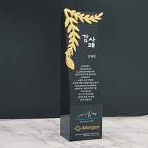 [알리다상패] 감사패 상패 부모님감사패 회사상패 교회상패 감사패제작 트로피 (크리스탈메탈)SD20-12