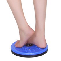 홈트 실내 허리 돌리기 트위스트 원판