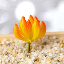 (주)아트인 인조 다육이(S05-옐로우)