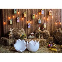 포토존 사진 배경 어린이 생일 아기 백일 테마 스튜디오 소품 강아지포토존, Seamless 60cmx40cm+3