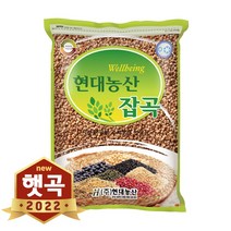 현대농산 2022년산 햇곡 국산 찰수수 2kg, 1개