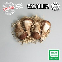 [농사임당] 친환경 무농약 참송이버섯 150g / 300g / 600g