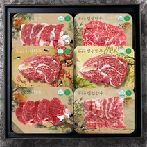 명품한우 1등급 명품세트2호 (고급종이포장무료), 800g