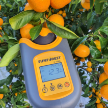 내고향농수산 산지직송 제주 하우스 귤 감귤 가정용 5kg 선물용 3kg 5kg, 7. 선물용 5kg 로열대과(40~55과), 1개