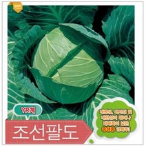 (양배추씨앗종자) 조선팔도(500립)