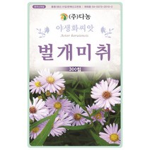 봉선화 8g - 야생화 씨앗 꽃씨 씨 꽃씨앗 봉선화씨앗 봉선화씨 야생화씨 야생화씨앗 꽃 봉숭아 봉숭아씨 봉숭아씨앗, 23_다농_벌개미취(300립)