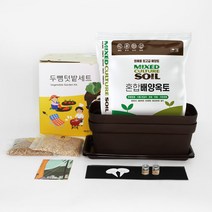 두뼘텃밭세트 고기쌈 텃밭 다크브라운 상추 깻잎키우기