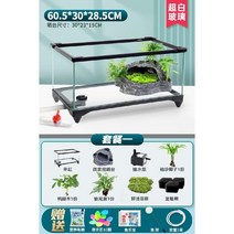 선베드 거북이 거북 어항 수조 키우기 반수생 육지, 60cm