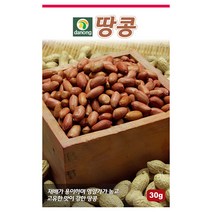 갑조네 뿌리 채소류 씨앗 모음, 땅콩(씨앗), 1개