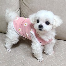 도기코디 계란후라이 에그 나시 애견 강아지 여름옷, 핑크