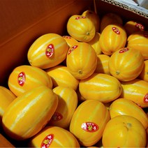 16브릭스이상 프리미엄 성주 꿀참외, 실속, 3kg (중대과 6-12과)