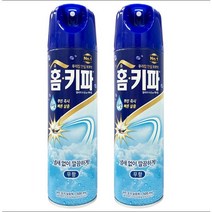 홈키파 수성 에어졸 무향, 2개, 500ml