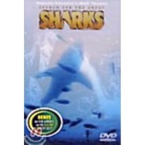 [DVD] 상어를 찾아서, 다우리 엔터테인먼트