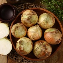 햇살조은 국내산 아삭아삭 햇 양파, 10kg(소/장아찌용), 1개
