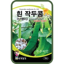 흰 작두콩 10립 작두콩씨앗 작두콩종자 비넝쿨성 콩재배 콩심기, 1개