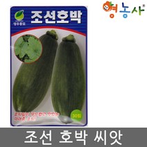 조선호박 씨앗 30립