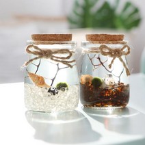 푸딩병 국산 마리모 키우기 DIY 세트 애완식물 마리모 수경식물, 남색