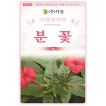 꽃양귀비 1g - 야생화 씨앗 꽃씨 씨 꽃씨앗 양귀비 개양귀비 다년생꽃씨 여러해살이 야생화씨 야생화씨앗 꽃, 27_다농_분꽃(5g)