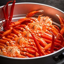속초 프리미엄 자숙 홍게 10마리(자숙 후 무게 총 2.8kg 이상), 단일옵션
