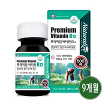 비타민b 12 영양제 식약청 인증 고농축 고함량 바이타민 B12 코발라민 엽산 대사 효능 캐나다, 3개, 3개월분