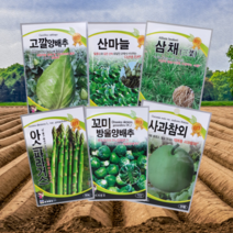 궁채 나물 상추 줄기 씨앗 종자, 궁채나물