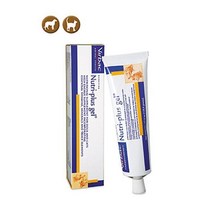 /더 케이 펫 프랑스 버박 뉴트리플러스겔 영양제 120.5g sj