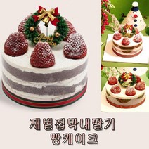 재벌집막내딸기 빵케이크 크리스마스 기획 파티 축제 앙금 케익, 상세페이지 참조