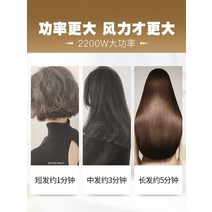 드라이기 기계 대출력 미용실 전용 헤어디자이너, T01-베이지, 선택하세요