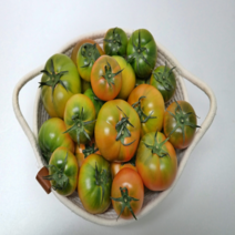 대저 고당도 짭짤이 토마토 2.5kg, 대저토마토짭짤이/2.5kg/S-3S