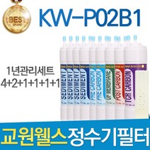교원웰스 KW-P02B1 고품질 정수기 필터 호환 전체세트, 선택04_11인치 한방향 1년관리세트(4+2+1+1+1+1=10)