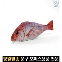 남자아이필통 물고기필통 고등학생입학선물 남아필통 공시생필통 대학원입학선물 남학생필통 1학년필통, 고래Company, 단일옵션