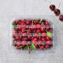 생 체리 1kg 생체리 미국체리 워싱턴체리 캘리포니아체리 생체리1kg 항공직송 cherry, 상세페이지 참조, 상세페이지 참조, 상세페이지 참조
