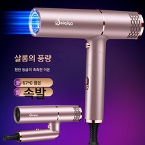 전기 드라이기 헤어 미용실 헤어디자이너 전용 고출력 이발소 가정용 음이온 헤어케어 속건 무음 바람통, 로즈골드접이식스타일음이온헤어케어울트라음소거