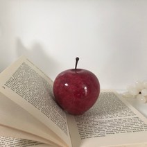 사과문진 오브제 책 애플 페이퍼웨이트, 화이트M