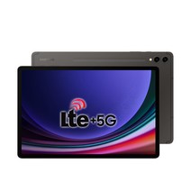 삼성전자 갤럭시탭 S9 플러스 256GB/512GB, Wi-Fi+5G, 256GB, 그라파이트