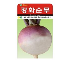 SN월드 뿌리채소 씨앗 무 당근 양파 알타리무 비트 콜라비 과일무, 강화순무