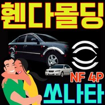 [ch4] 차량 외관을 돋보이게 하는 현대 NF 크롬 휀다몰딩 4P, 도담쿠팡 본상품선택