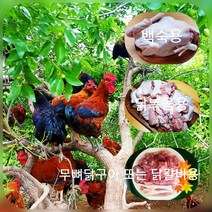 [노계닭생닭] 대용량특가 5.6Kg 국내산 닭볶음탕용 절단육 (800gx7), 단품