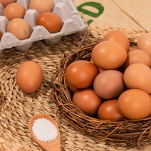 추천 달걀난각번호 인기순위 TOP100 제품 목록