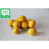 [레몬올레농장] 제주친환경 레몬 생과, 5kg