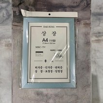 A4 대성 자스민 키치 자격증 액자 블루 인쇄 엄마표놀이 회사 팝아트 그림그리기 프린트 출력